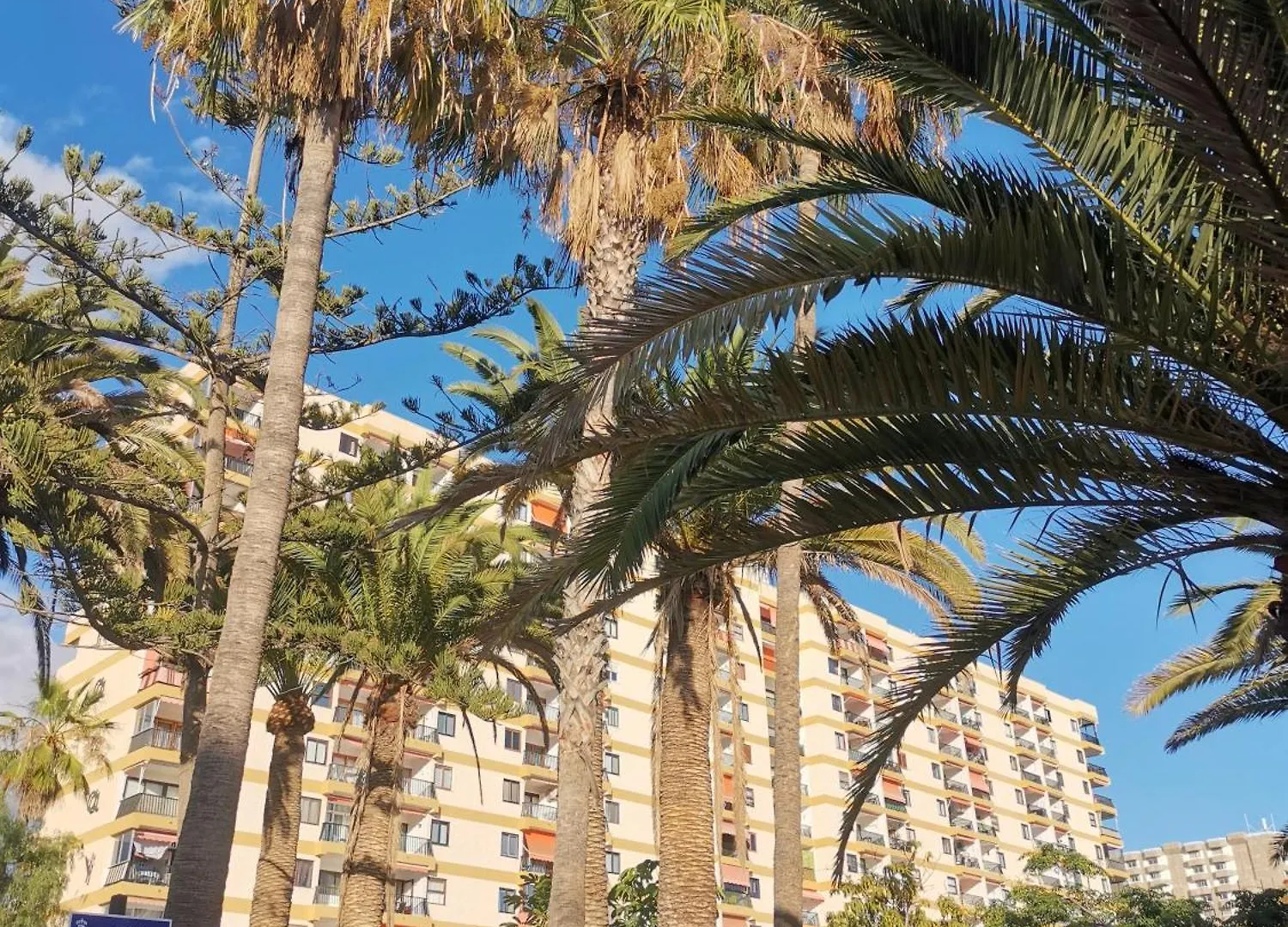 Apartment Los Cristianos Achacay Appartement Standing Vue Panoramique Spain